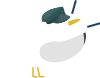 Seagull