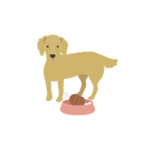Individuals with Pets